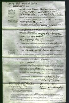 Court of Common Pleas - Anna Goodwin-Original Ancestry