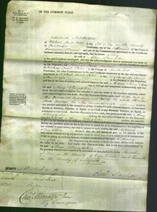 Court of Common Pleas - Amy Singleton