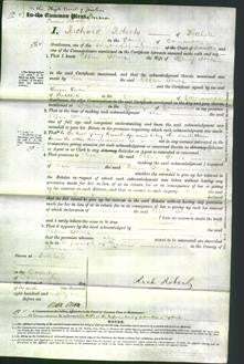 Court of Common Pleas - Ellen Jones-Original Ancestry