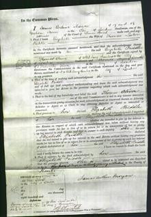 Court oif Common Pleas - Elizabeth Priddle-Original Ancestry