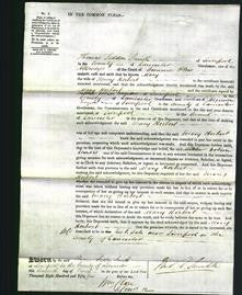 Court of Common Pleas - Mary Herbert-Original Ancestry