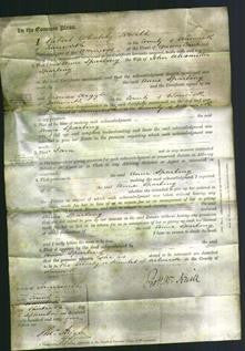 Court of Common Pleas - Anne Sparling-Original Ancestry