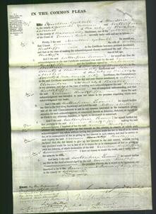 Court of Common Pleas - Emma Ractliffe-Original Ancestry