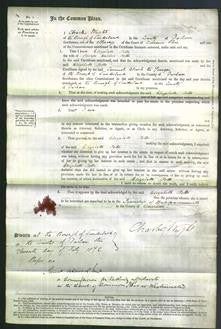 Court of Common Pleas - Elizabeth Potts-Original Ancestry