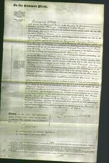 Court of Common Pleas - Harriet Niven-Original Ancestry