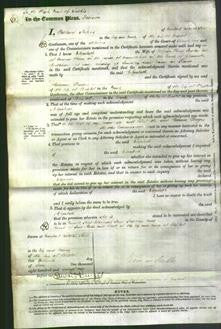 Court of Common Pleas - Elizabeth Paglar-Original Ancestry