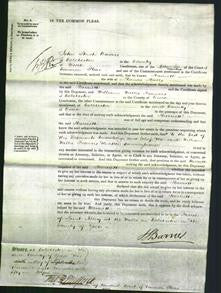 Court of Common Pleas - Harriett Halls-Original Ancestry