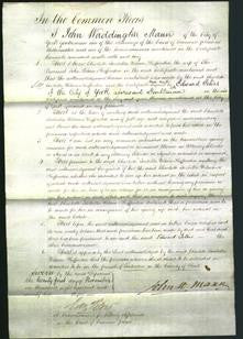 Court of Common Pleas - Charlotte Isabella Wilson-Hafenden-Original Ancestry