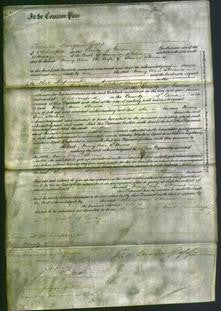 Court of Common Pleas - Mary Ann Stevens-Original Ancestry