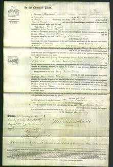 Court of Common Pleas - Mary Foulkes Davis-Original Ancestry