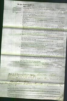 Court of Common Pleas - Sarah Burnett-Original Ancestry