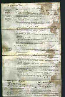 Court of Common Pleas - Mary Hannah Bean-Original Ancestry