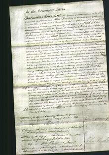 Court of Common Pleas - Sarah Harrison-Original Ancestry