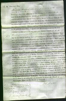 Court of Common Pleas - Rebecca Cash-Original Ancestry