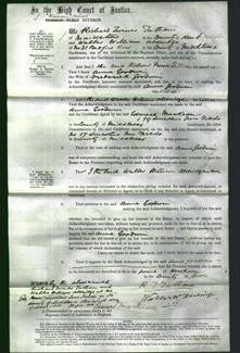 Court of Common Pleas - Anna Goodwin-Original Ancestry