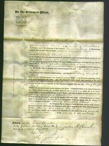 Court of Common Pleas - Mary Winifred Flint-Original Ancestry