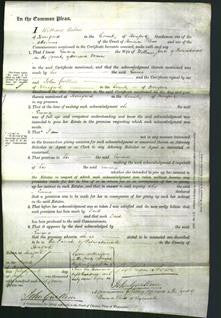 Court of Common Pleas - Emma Jones-Original Ancestry