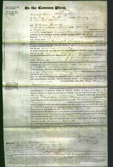 Court of Common Pleas - Isabella Anne Turner-Original Ancestry