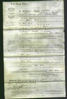 Court of Common Pleas - Alice Meeds-Original Ancestry