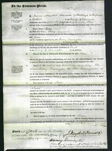 Court of Common Pleas - Jane Storey-Original Ancestry