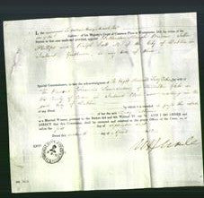 Appointment of Special Commisioners - Fetherston Haugh Briscoe, John Phillips, Ralph Scott-Original Ancestry