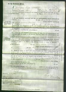 Court of Common Pleas - Mary Davies-Original Ancestry