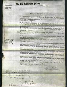 Court of Common Pleas - Harriet Hanson-Original Ancestry