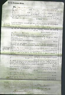 Court of Common Pleas - Sarah Greenwood-Original Ancestry