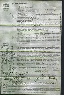 Court of Common Pleas - Ellen Rogers and Alice Marsh-Original Ancestry