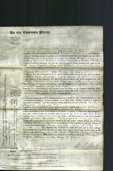 Court of Common Pleas - Sarah Elizabeth Linsell, Mary Emberson and Eliza Warren-Original Ancestry