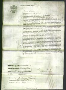 Court of Common Pleas - Elizabeth Caroline Barnard, Sarah Sterry Lovett, Mary Ann Sterry Loder and Elizabeth Harriett Crowe-Original Ancestry