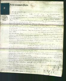 Court of Common Pleas - Ann Price-Original Ancestry