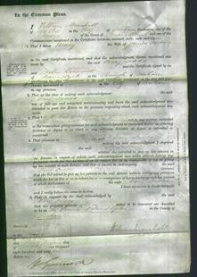 Court of Common Pleas - Mary Dodds-Original Ancestry