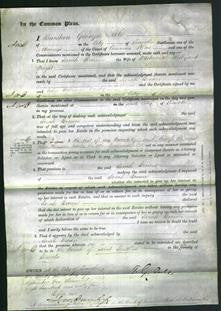 Court of Common Pleas - Sarah Brown Wright-Original Ancestry