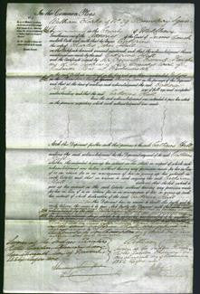 Court of Common Pleas - Catherine Hall-Original Ancestry