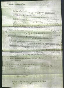 Court of Common Pleas - Mary Twigden Longland-Original Ancestry