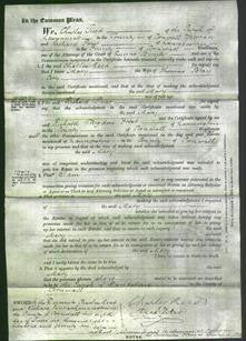 Court of Common Pleas - Mary Cory-Original Ancestry