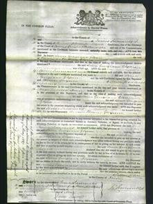 Court of Common Pleas - Laura Georgiana Glynn-Original Ancestry