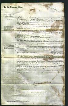 Court of Common Pleas - Letitia Davies-Original Ancestry