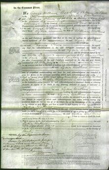 Court of Common Pleas - Lydia Watkins-Original Ancestry