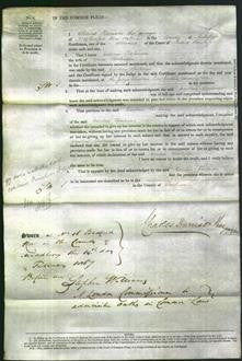 Court of Common Pleas - Caroline Tomlinson-Original Ancestry