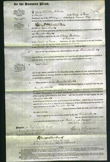 Court of Common Pleas - Henrietia Sparks-Original Ancestry