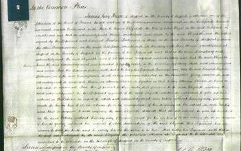 Court of Common Pleas - Elizabeth Piggott-Original Ancestry