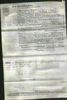 Court of Common Pleas - Mary Anne Travers-Original Ancestry