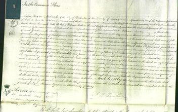 Court of Common Pleas - Susannah Hills-Original Ancestry