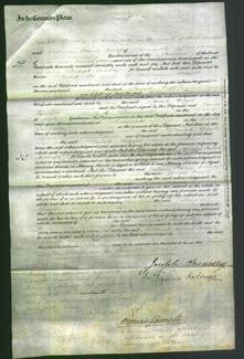 Court of Common Pleas - Sarah Wigzell-Original Ancestry