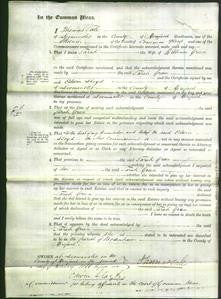 Court of Common Pleas - Sarah Green-Original Ancestry