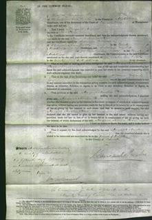 Court of Common Pleas - Margaret Amelia Storer-Original Ancestry