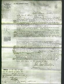 Court of Common Pleas - Elizabeth Hedges, Anne Hemmings and Mary Harris-Original Ancestry
