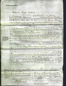 Court of Common Pleas - Mary Ann Stevens-Original Ancestry